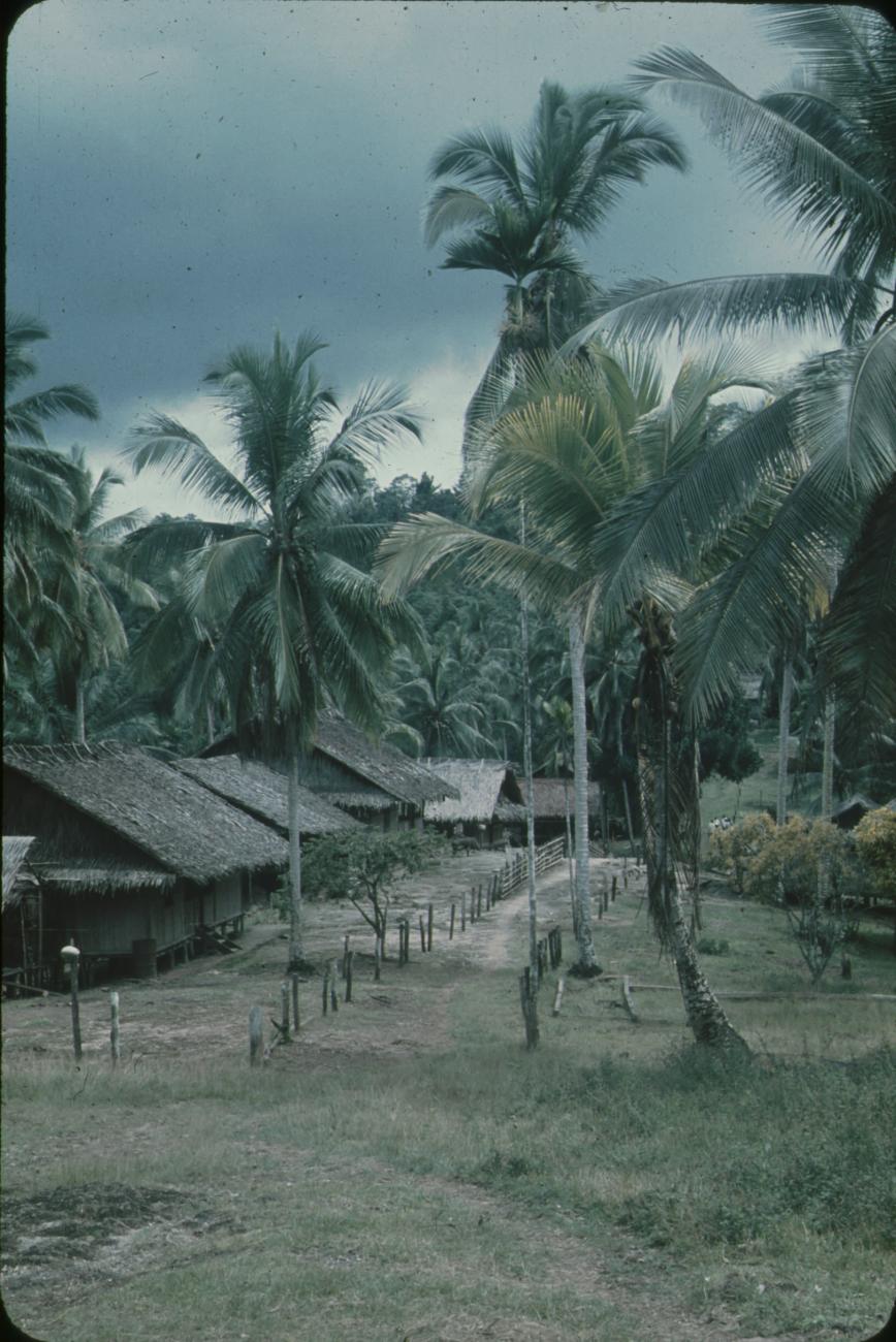 BD/171/332 - 
Hutten tussen de palmbomen
