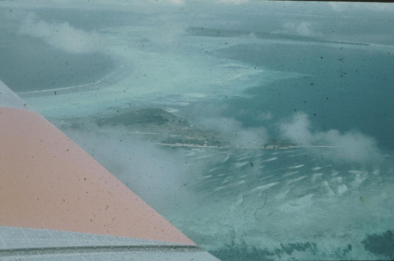 BD/171/374 - 
Luchtfoto vanuit Dakota vliegtuig JZ PDC van o.m. eiland.
