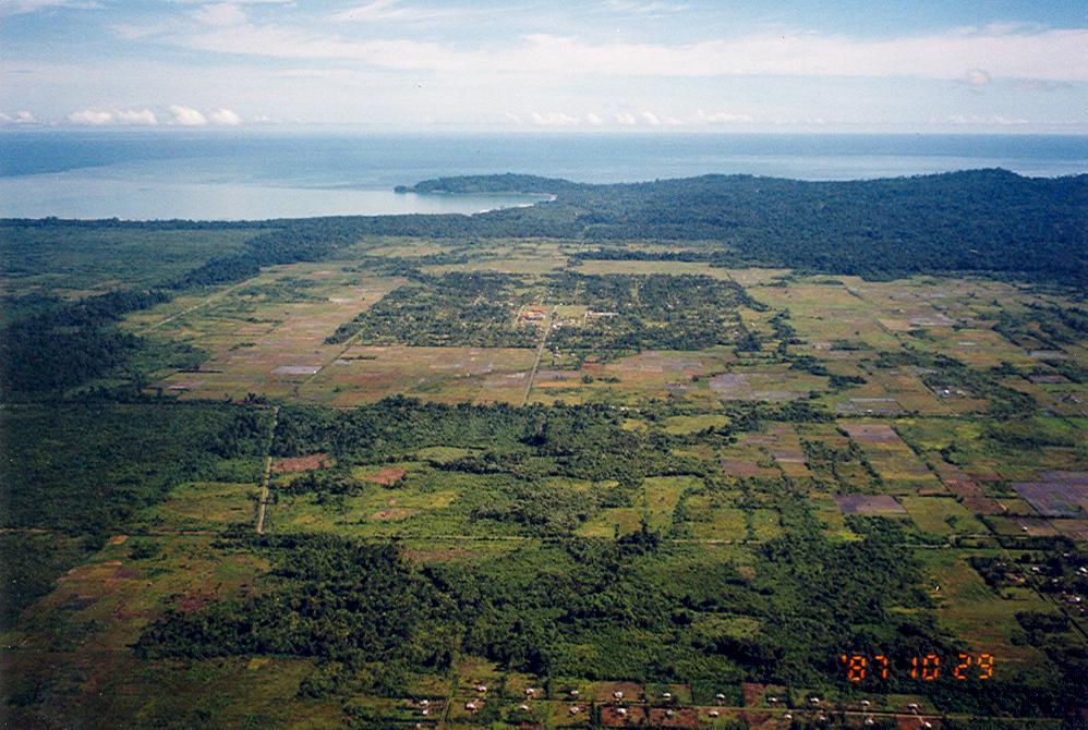 BD/269/673 - 
Overzichtsfoto van bebost gebied met waarschijnlijk baai op achtergrond
