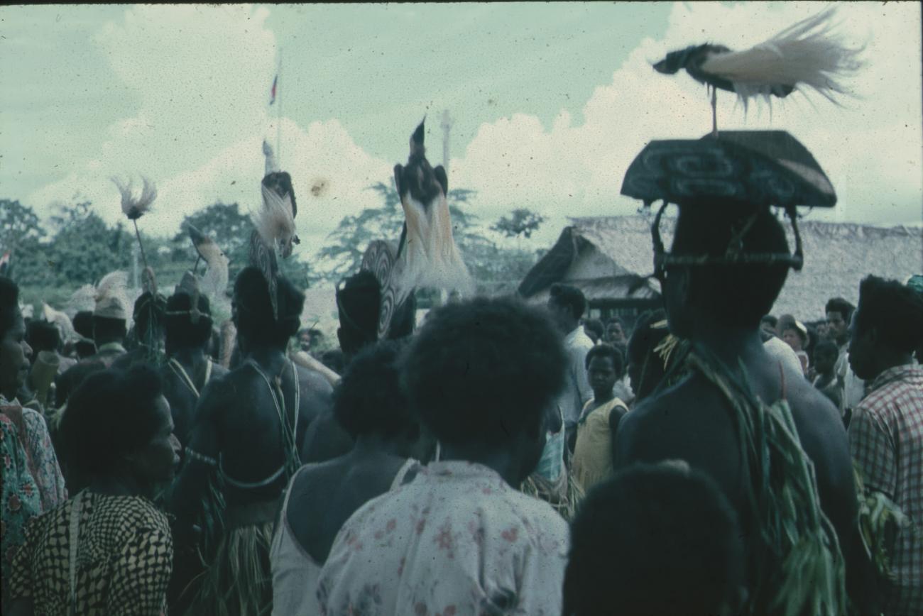 BD/171/1293 - 
Krijgers met houten paradijsvogels op hun hoofd
