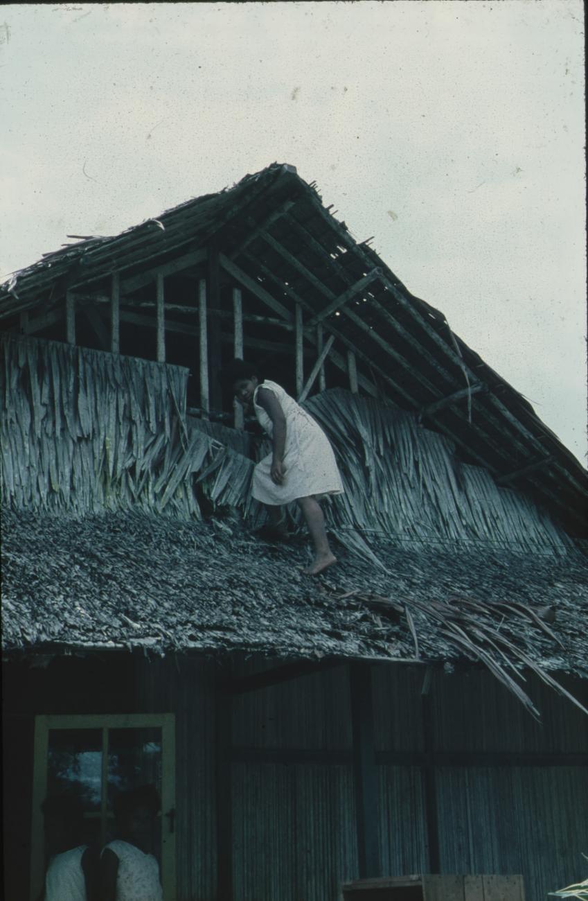 BD/171/1372 - 
Vrouw op huis met rieten dak.
