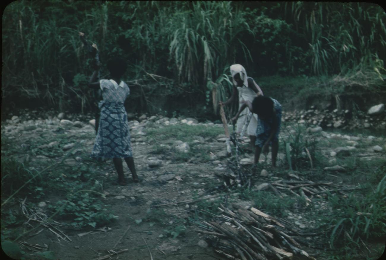 BD/171/1778 - 
Vrouwen zijn hout aan het verzamelen
