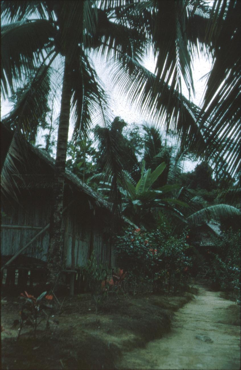 BD/171/757 - 
Huis tussen palmbomen
