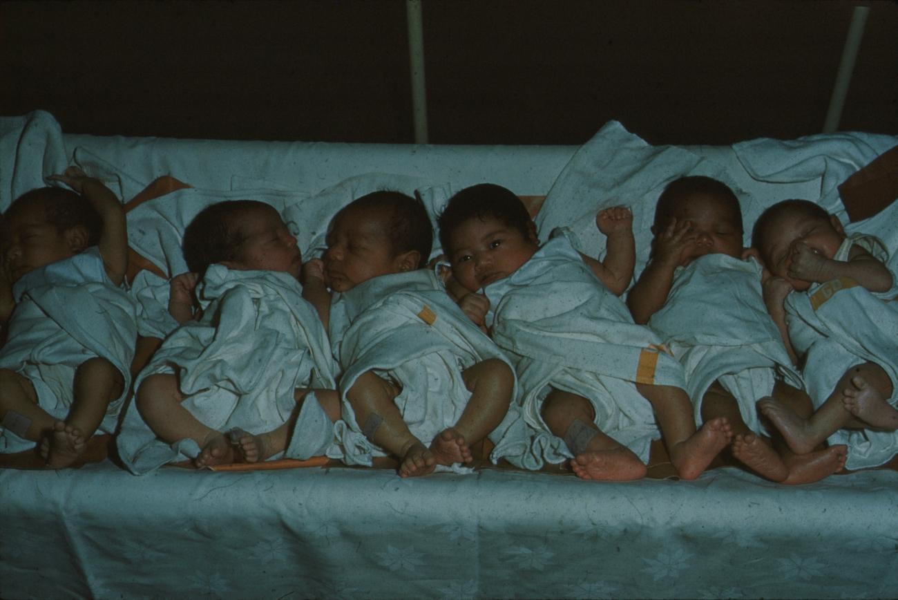 BD/171/879 - 
Zes babies op een rij in ziekenhuis
