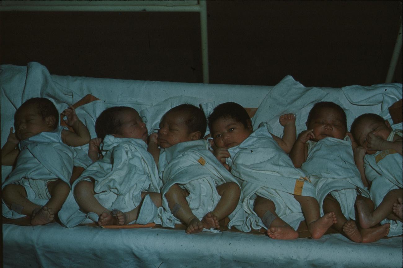 BD/171/880 - 
Zes babies op een rij in ziekenhuis
