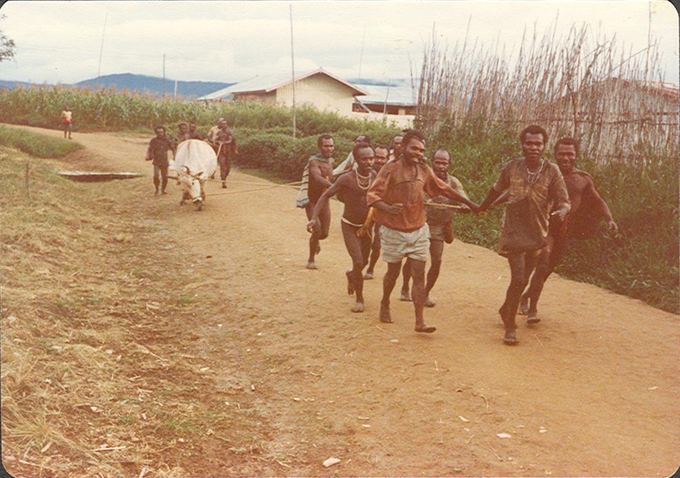 BD/269/1000 - 
Mannen trekken een koe voort over een dorpsweg
