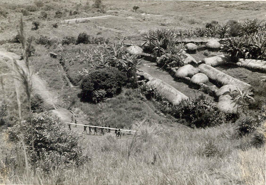 BD/269/1237 - 
Dani-nederzetting (met karakteristieke bolronde Honai-huizen) in de Baliem, van bovenaf gezien
