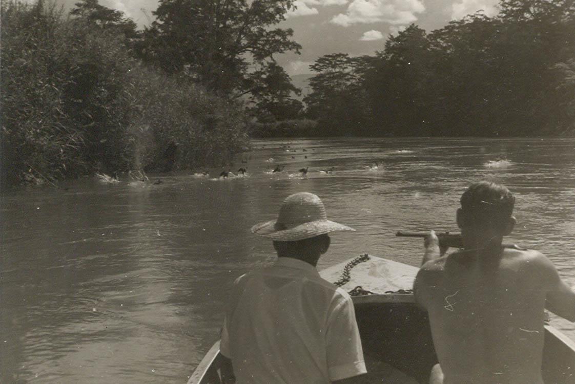 BD/269/1243 - 
Jagen op vogels vanuit een boot op de rivier, ergens in Baliem
