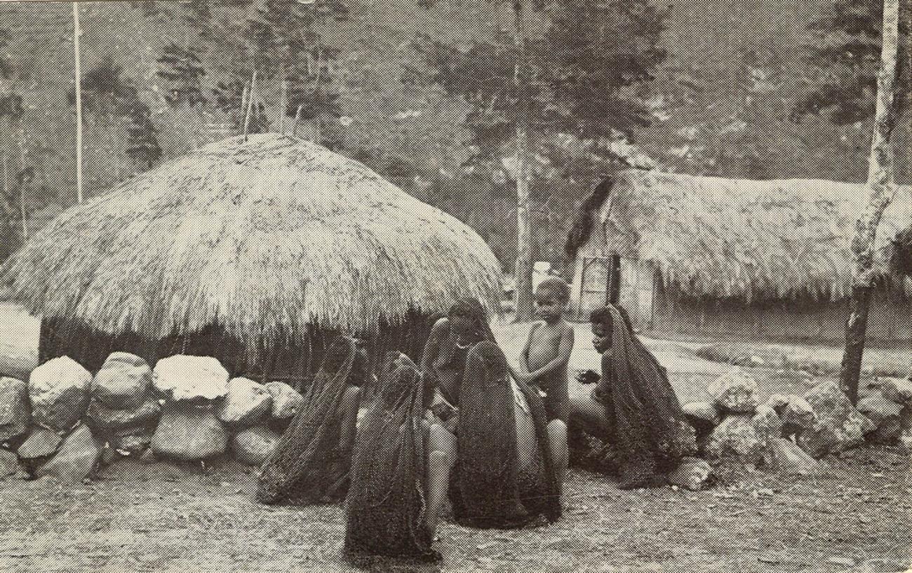 BD/269/1256 - 
Dorpshutten in de Baliem-vallei, ansicht uitgegeven door Missieprocuur Franciscanen
