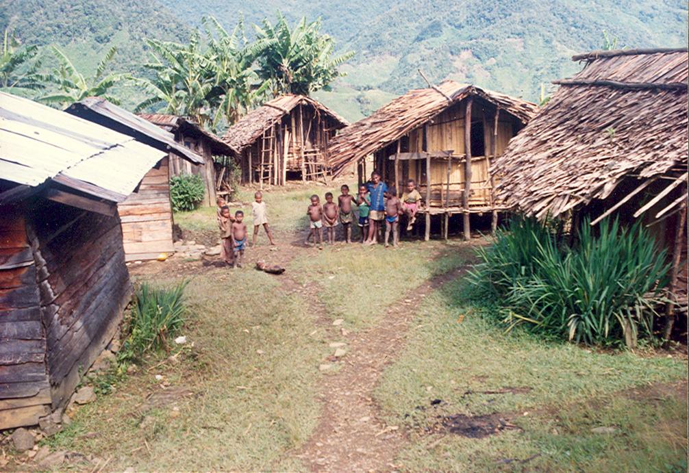 BD/269/815 - 
Hutten met Papoea-kinderen
