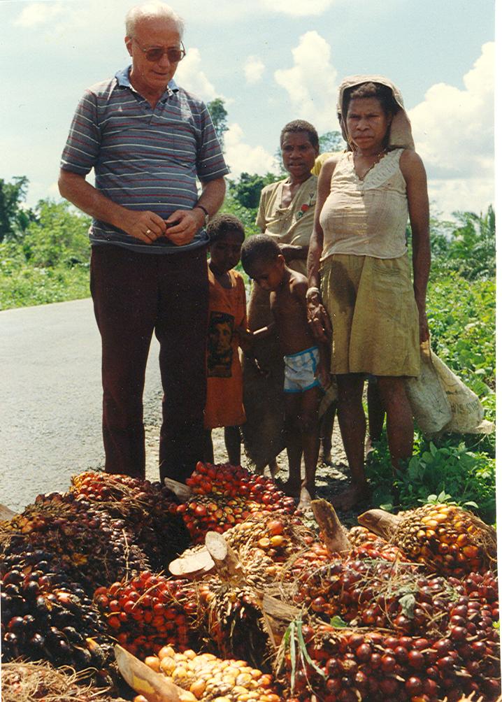 BD/269/838 - 
Henk met Papoeas en palmolievruchten
