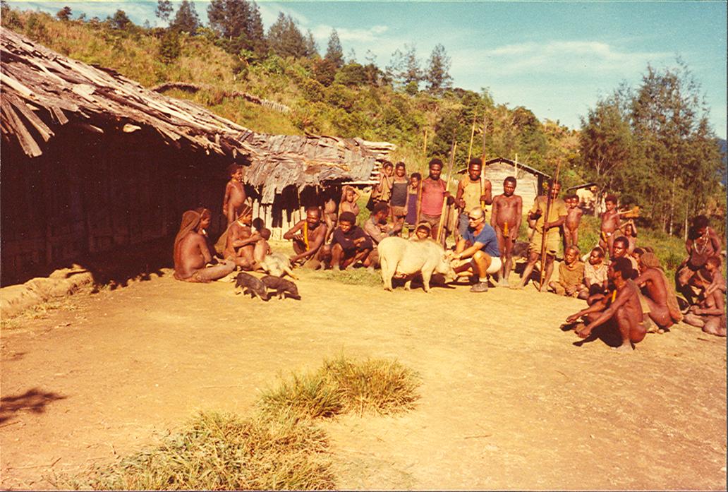 BD/269/977 - 
Henk Blom en Papoea&#039;s met een varken
