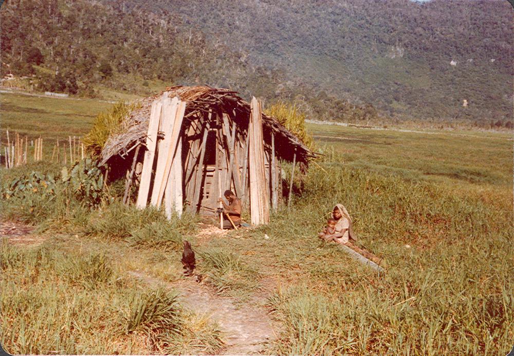 BD/269/991 - 
Alleenstaande hut met gezin
