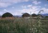 BD/37/161 huttenbouw: Wamena 5 (alle moderne comfort)