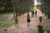 BD/166/346 Papua kinderen op paadje tussen bomen