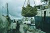 BD/209/4064 Vervoer cocos per zeeschip