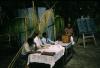 BD/209/7113 Verkiezingen Nieuw Guinea Raad