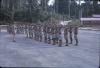 BD/209/9113 Opleidingskamp Papoea Vrijwilligers Korps te Manokwari