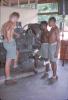 BD/209/9193 Opleidingskamp Papoea Vrijwilligers Korps te Manokwari