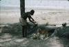 BD/288/121 Man snijdt in kokosnoot op het strand