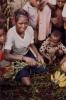 BD/309/82 Dorp Bogor, vrouw omringd door kinderen op markt. Niet publiceren, niet in Nieuw Guinea 