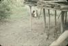 BD/144/57 Papoea-vrouw en kind bij vuurtje, deel hut zichtbaar