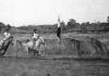 BD/133/106 Paardrijwedstrijd te Merauke ter ere van Koninginnedag