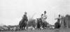 BD/133/110 Paardrijwedstrijd te Merauke ter ere van Koninginnedag