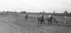 BD/133/134 Paardrijwedstrijd te Merauke ter ere van Koninginnedag