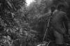BD/133/670 Papoea-mannen staand voorin prauw, varend op dicht overgroeide rivierarm
