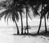 BD/133/821 Palmbomen met zee en strand