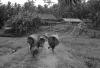 BD/133/872 Groep Papoea's vanuit nederzetting op weg met visnetten 