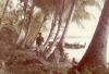 BD/277/49 Man en twee kinderen tussen de bomen bij de kust