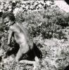BD/329/19 Papoea-jongen bezig op het land