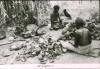 BD/186/71 Drie vrouwen bewerken kokosnoten