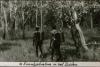 BD/186/85 Eucalyptusbos in het zuiden, twee mannen met bepakking