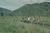 BD/248/98 Groep jeugdige Papoea's met stokken onderweg