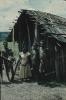 BD/248/9 Groepsfoto van Papoea's voor een hut