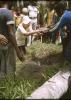 BD/309/338 Mevrouw Marcus plant een nieuwe kokospalm in het dorp Konda