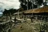 BD/66/238 Huizen aan rivier in Zuid Nieuw Guinea