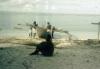 BD/66/99 Vissers bij een strand met een zeeprauw met vlerken