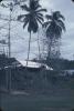 BD/171/15 Een woning op een heuvel omringd door palmbomen en anderen beplanting