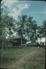 BD/171/190 Hutten op palen met rieten daken tussen de palmbomen