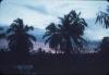 BD/171/262 Zonsondergang met palmbomen