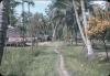 BD/171/284 Hutten op palen omgeven door palmbomen