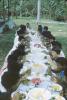 BD/171/360 Grote groep meisjes aan een feestelijk gedekte tafel vol met eten