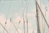 BD/171/446 Kontrols, touwen en mast