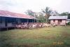 BD/269/704 Groep Papoa kinderen voor waarschijnlijk een school