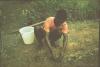 BD/171/616 Man doet voedselplanten in de grond 
