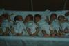 BD/171/879 Zes babies op een rij in ziekenhuis